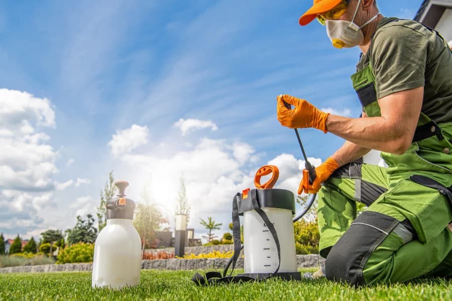 sherman oaks pest control