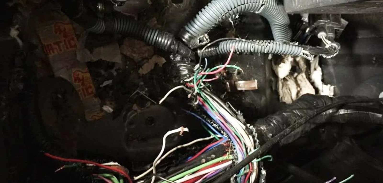 car wiring from rodents