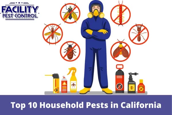 top 10 household pests in reseda simi valley and calabasas ca
