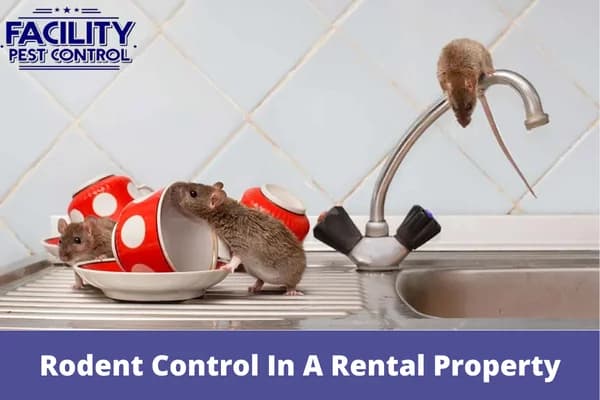 who is responsible for rodent control