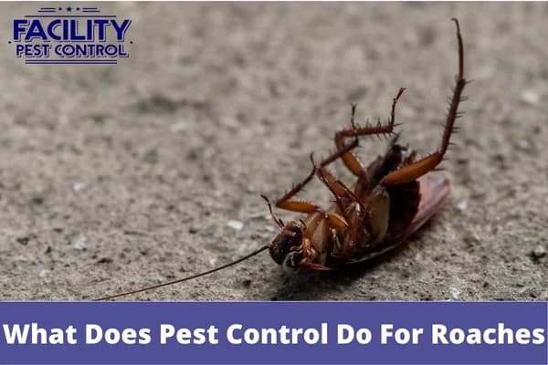 what does pest control do for roaches