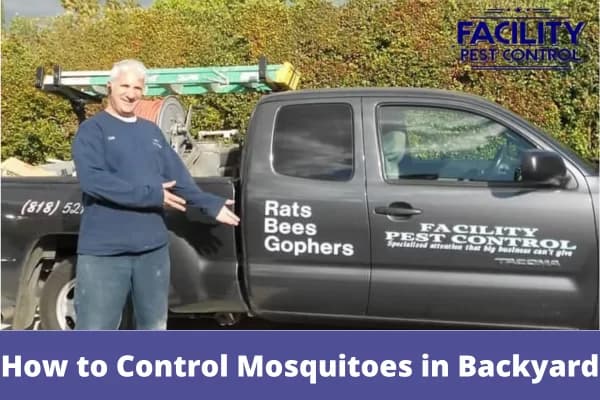 how to control mosquitoes in backyard