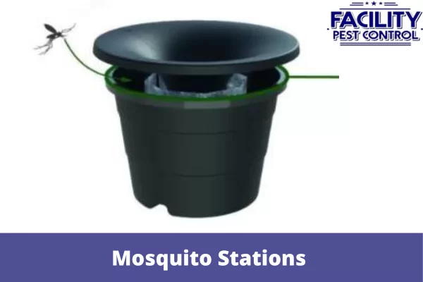 mosquito stations
