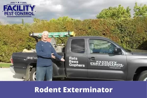 rodent exterminator