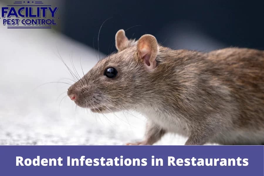 facilty pest