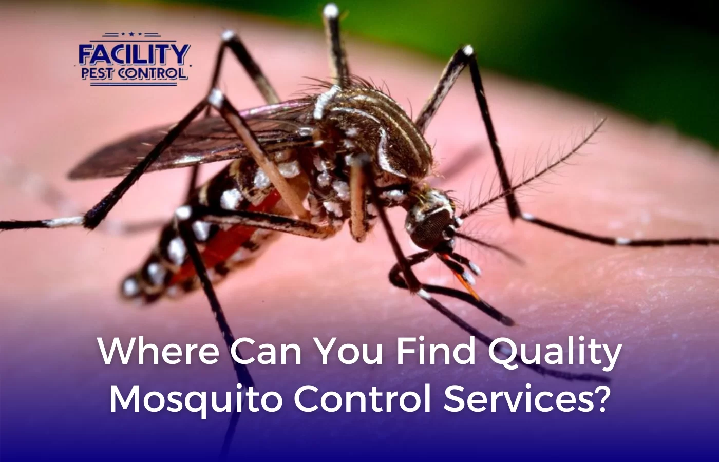 facility pest control mosquito