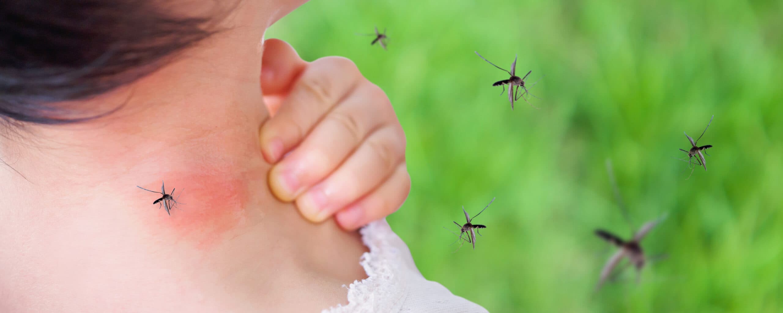 Sustainable Pest Solutions