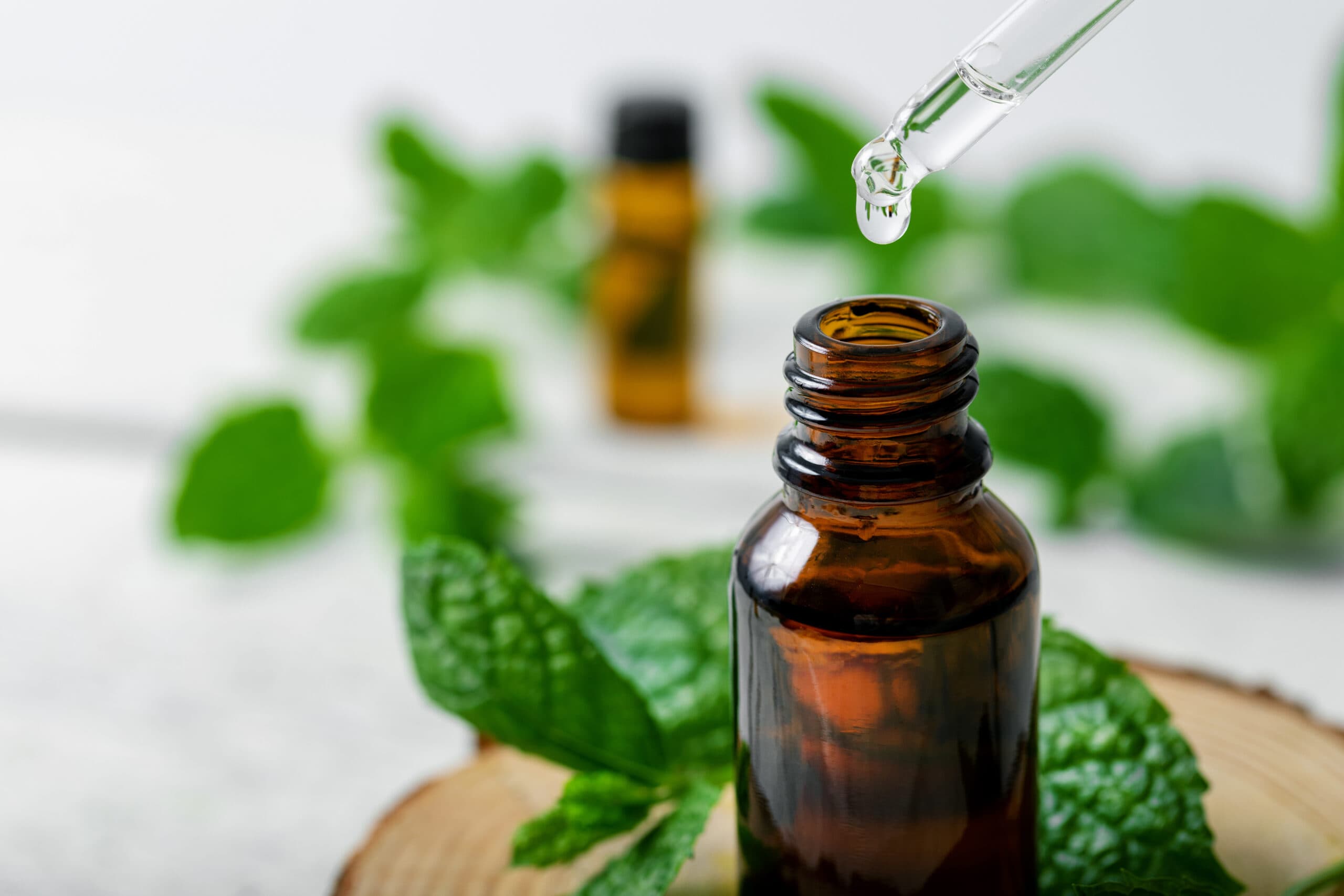 Peppermint Oil for Rodents