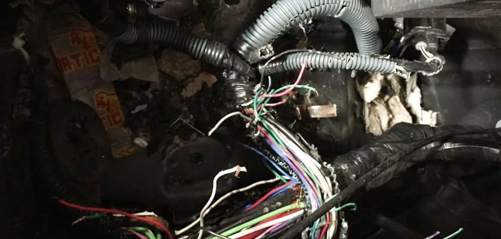 car wiring from rodents