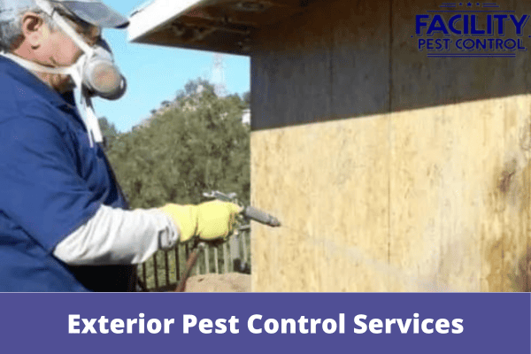Exterior Pest Control Services: What To Expect And When To Call
