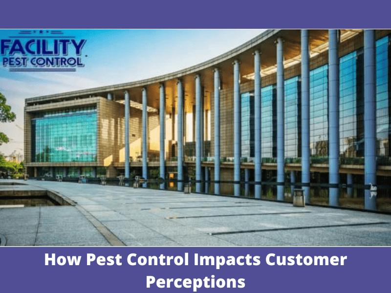 Protecting Your Reputation: How Pest Control Impacts Customer Perceptions