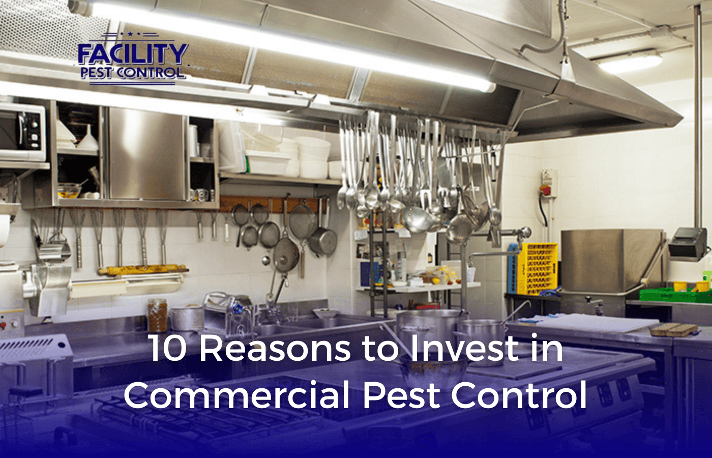 10 Reasons to Invest in Commercial Pest Control