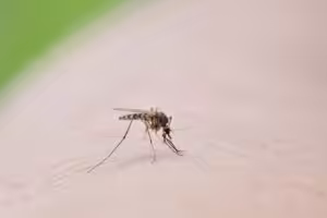 Professional Exterminator’s Guide