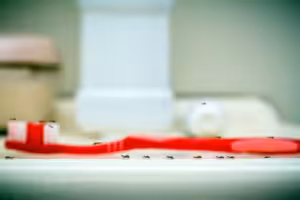 How to Get Rid of Ants in the Bathroom