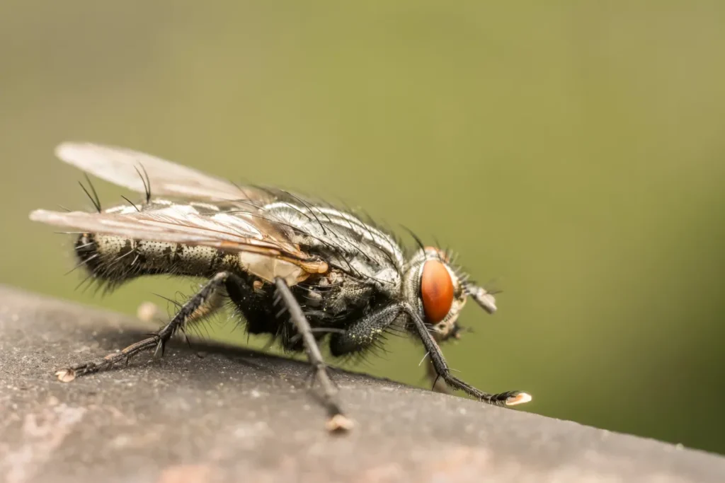 Depositphotos 47562499 XL