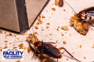 pest control