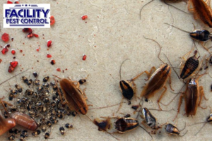 pest control