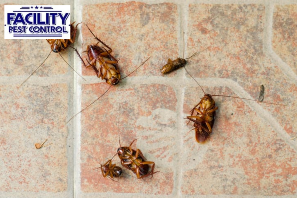 pest control