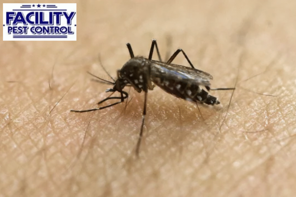 mosquito control